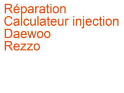 Calculateur injection Daewoo Rezzo (2000-2009) [U100]