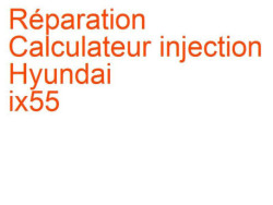 Calculateur injection Hyundai ix55 (2006-2013)