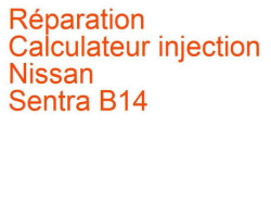 Calculateur injection Nissan Sentra B14 (1995-2000)