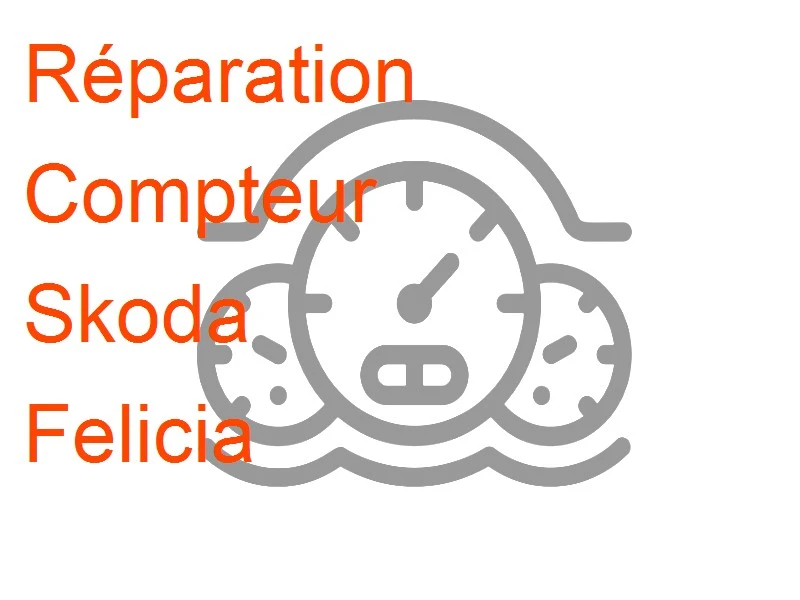 Compteur Skoda Felicia