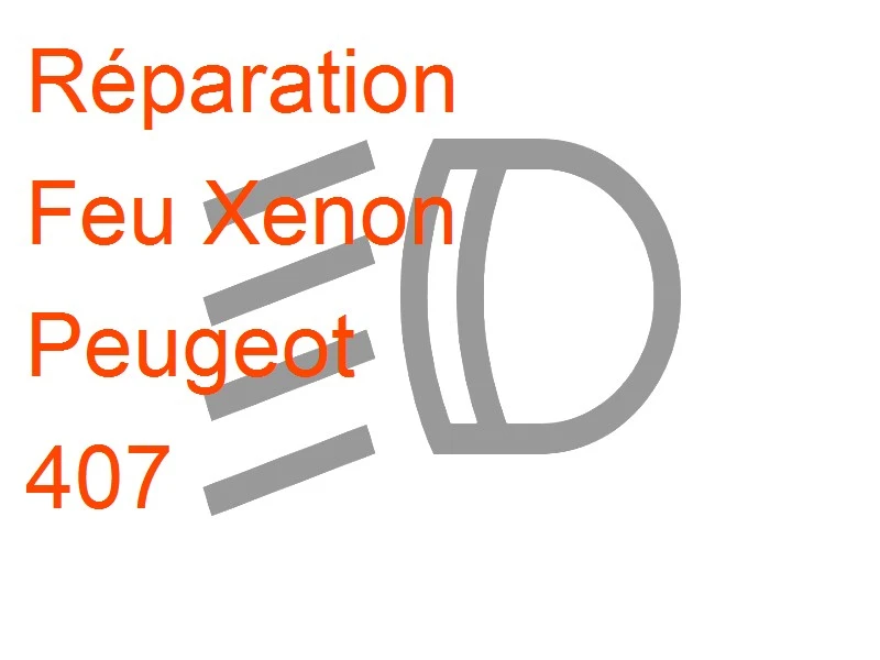 Feu Xenon Peugeot 407
