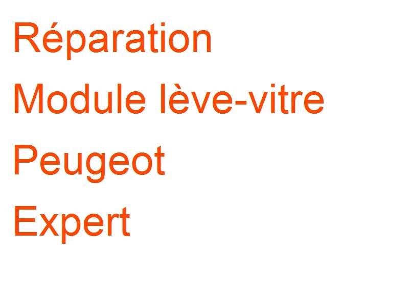 Module lève-vitre Peugeot Expert