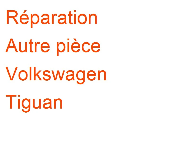 Autre pièce Volkswagen Tiguan