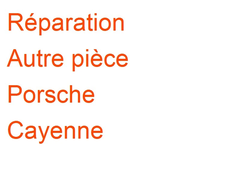Autre pièce Porsche Cayenne