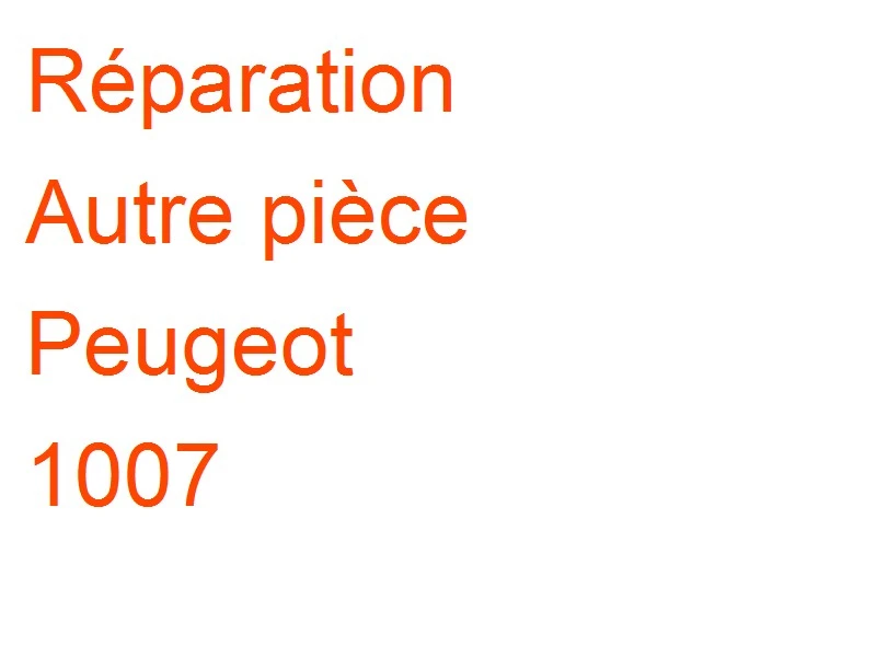 Autre pièce Peugeot 1007