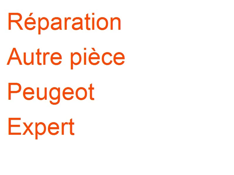 Autre pièce Peugeot Expert