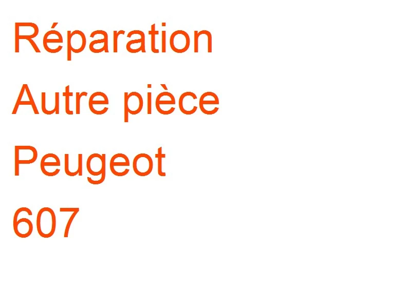 Autre pièce Peugeot 607