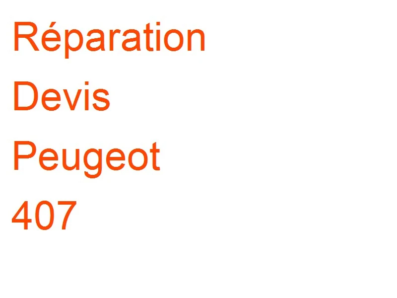 Devis Peugeot 407