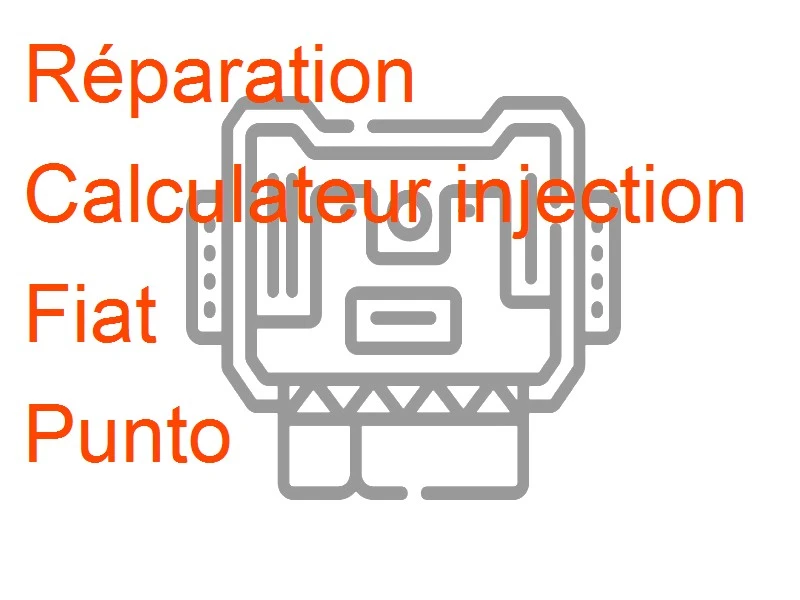 Calculateur injection Fiat Punto