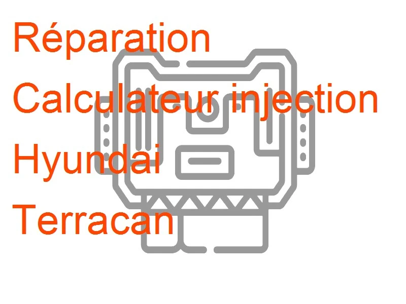 Calculateur injection Hyundai Terracan