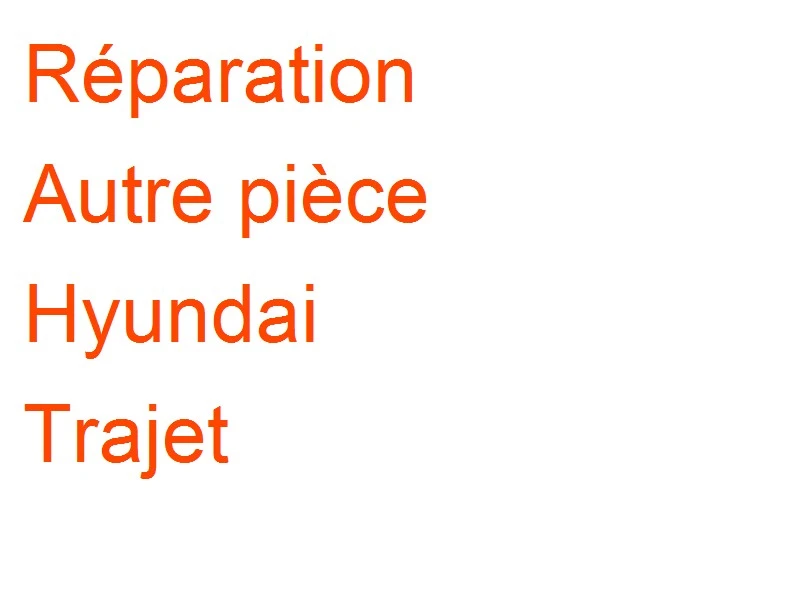 Autre pièce Hyundai Trajet