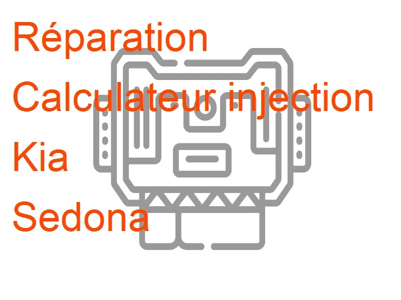 Calculateur injection Kia Sedona