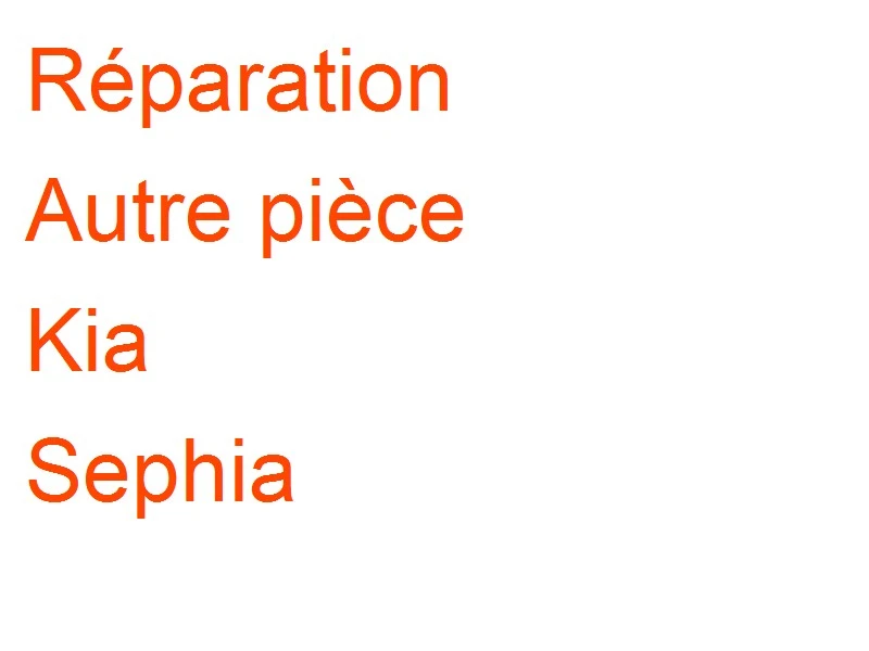 Autre pièce Kia Sephia