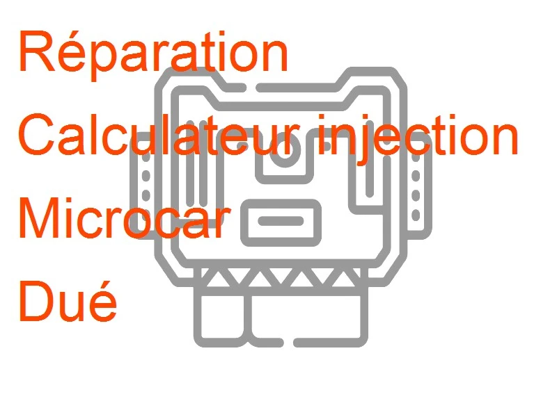 Calculateur injection Microcar Dué