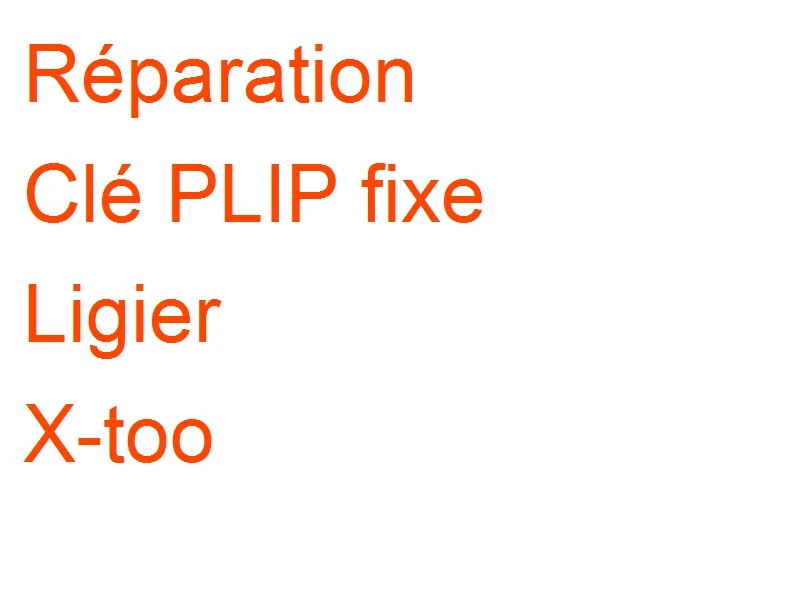 Clé PLIP fixe Ligier X-too