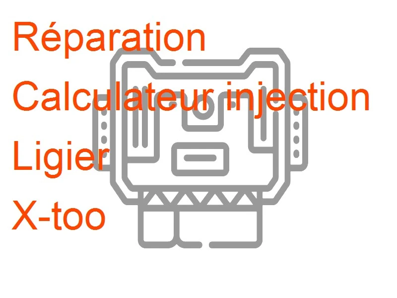 Calculateur injection Ligier X-too