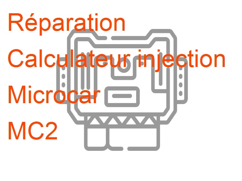 Calculateur injection Microcar MC2