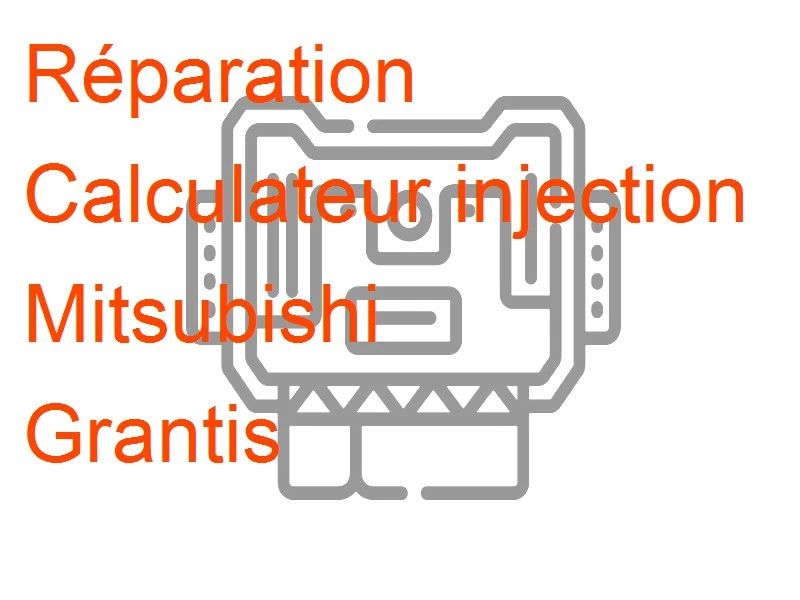 Calculateur injection Mitsubishi Grantis