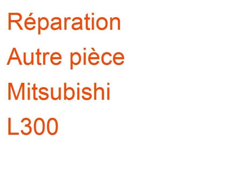 Autre pièce Mitsubishi L300