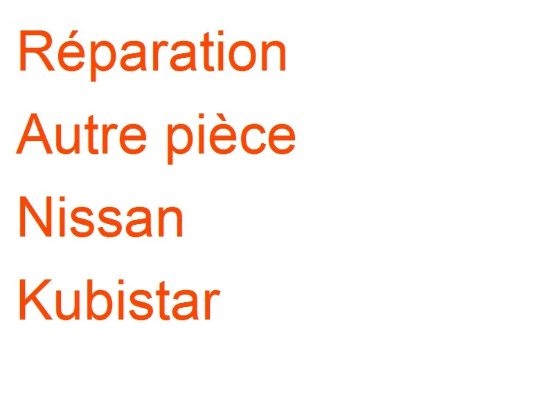 Autre pièce Nissan Kubistar