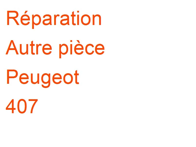 Autre pièce Peugeot 407