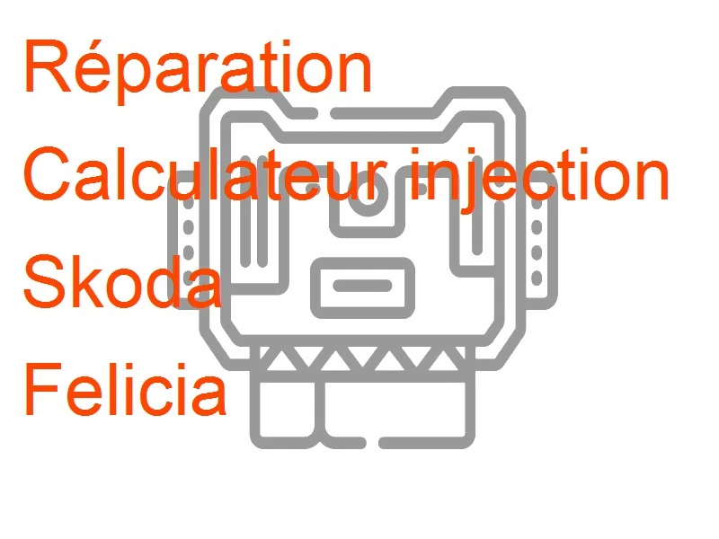 Calculateur injection Skoda Felicia