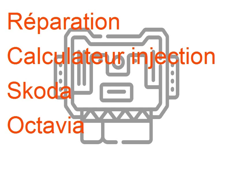 Calculateur injection Skoda Octavia