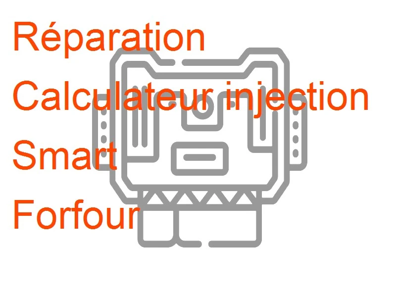 Calculateur injection Smart Forfour