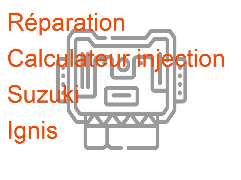 Calculateur injection Suzuki Ignis