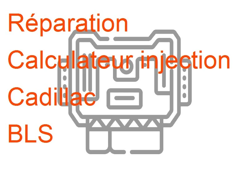 Calculateur injection Cadillac BLS