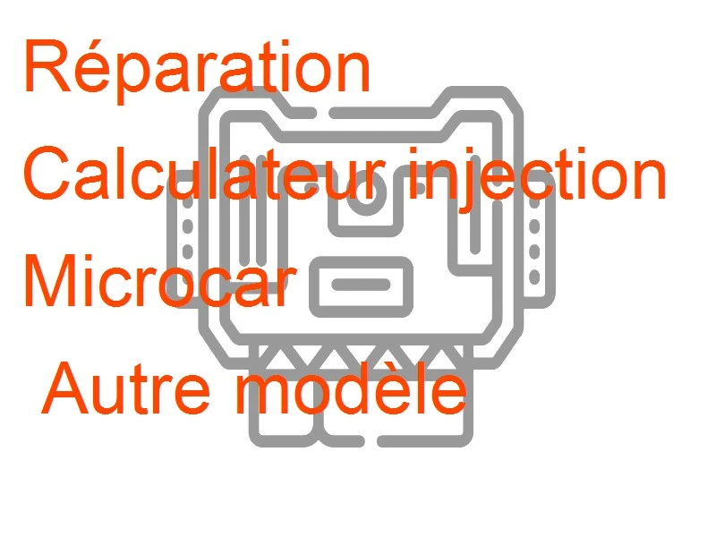 Calculateur injection Microcar Autre modèle