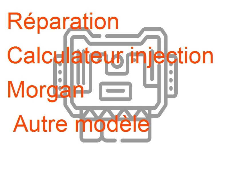 Calculateur injection Morgan Autre modèle
