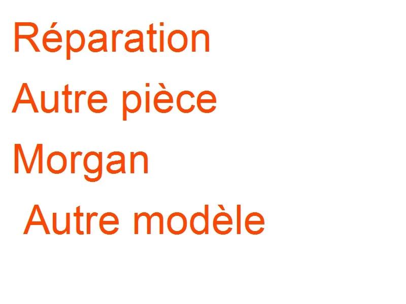 Autre pièce Morgan Autre modèle