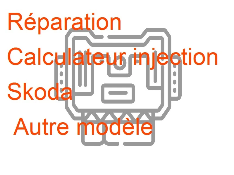 Calculateur injection Skoda Autre modèle