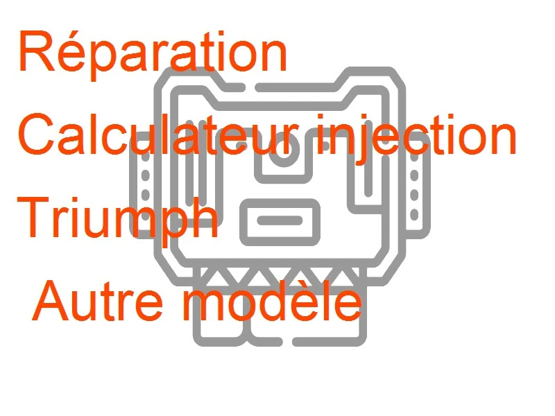 Calculateur injection Triumph Autre modèle