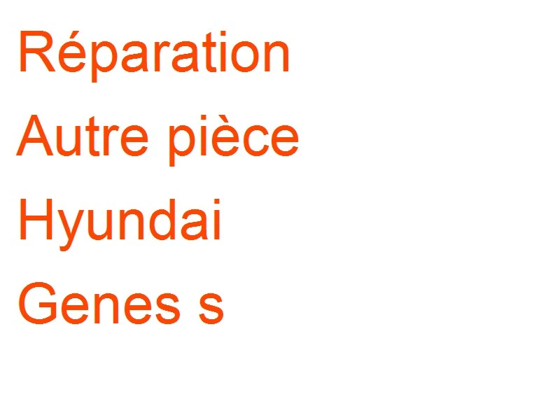 Autre pièce Hyundai Genes s
