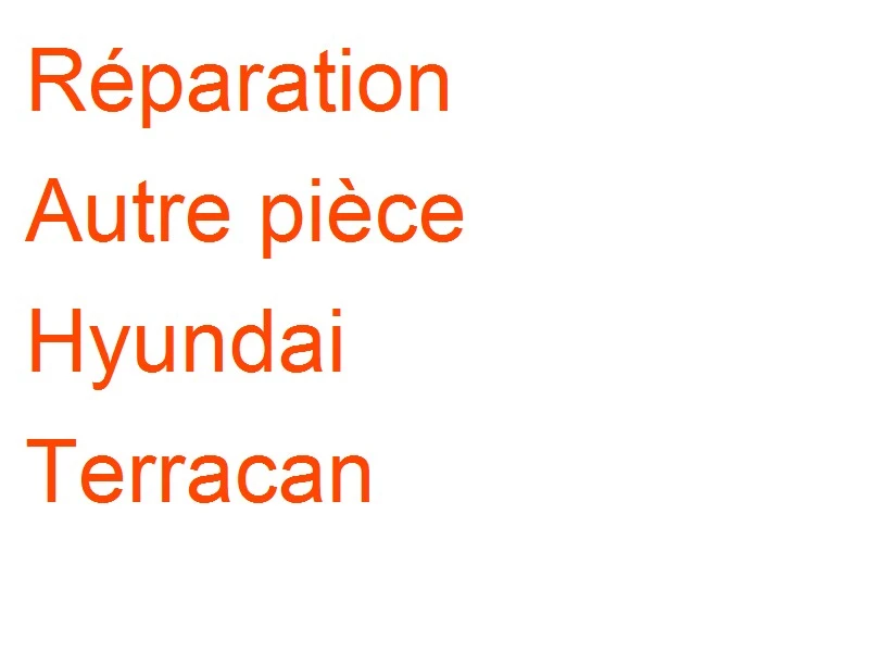 Autre pièce Hyundai Terracan