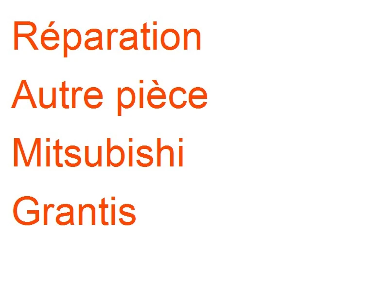 Autre pièce Mitsubishi Grantis