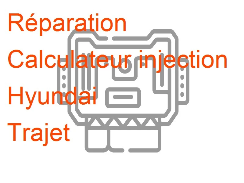 Calculateur injection Hyundai Trajet
