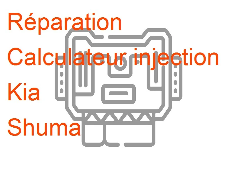 Calculateur injection Kia Shuma