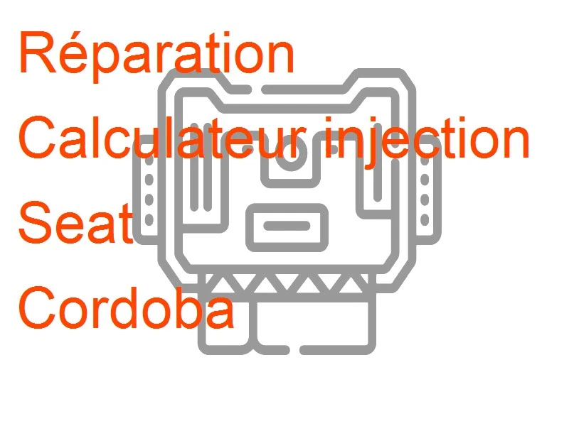 Calculateur injection Seat Cordoba