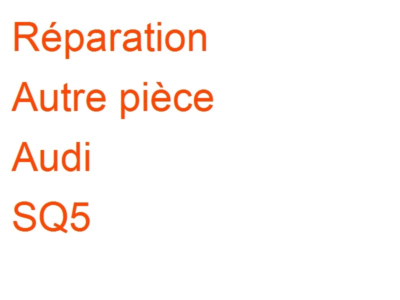 Autre pièce Audi SQ5