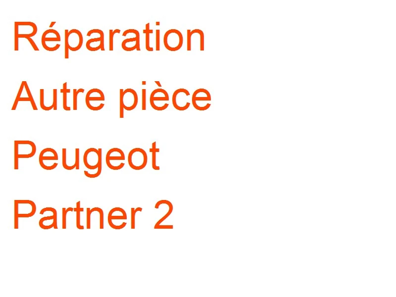 Autre pièce Peugeot Partner 2