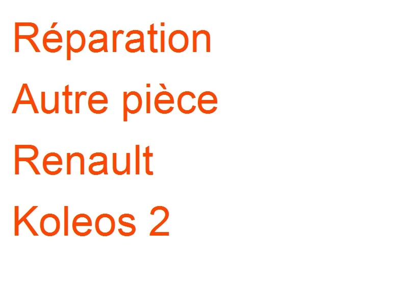 Autre pièce Renault Koleos 2