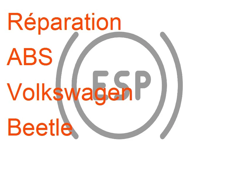 ABS Volkswagen Beetle