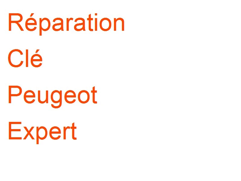 Clé Peugeot Expert