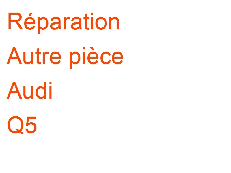 Autre pièce Audi Q5