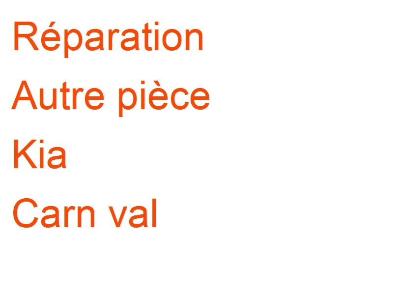 Autre pièce Kia Carn val