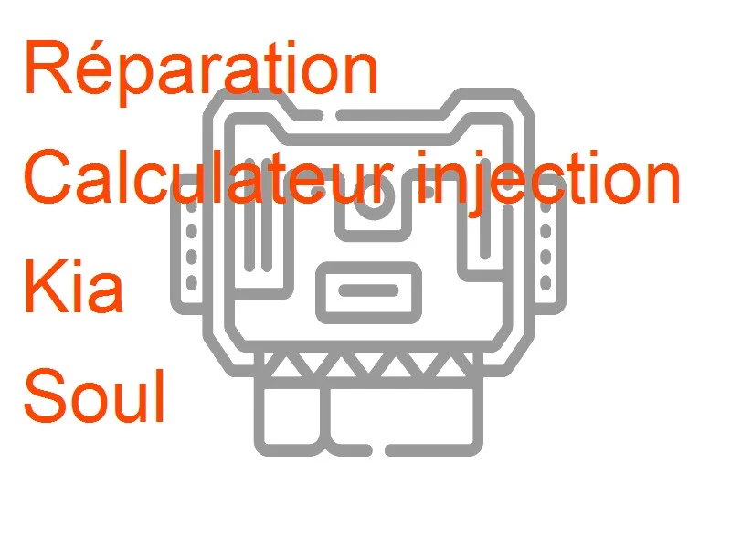 Calculateur injection Kia Soul