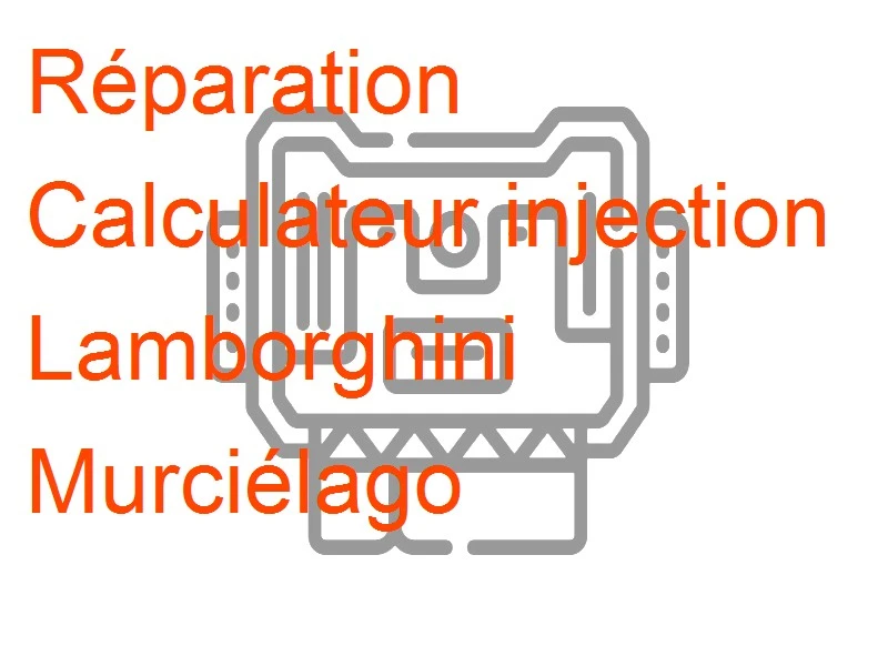 Calculateur injection Lamborghini Murciélago